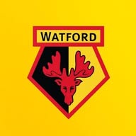 Watford FC 🐝