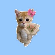 stickerrrr