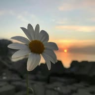 Kalpten Sözler🌹