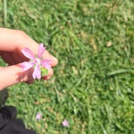 ꧁༺Kalbinden Bir Köşe༻꧂