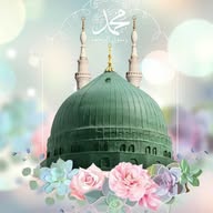 💚Resûlullahﷺ'e Aşık Bir Kul💚