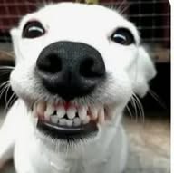 CİKARTMAAOİİve Sohberttttrtt, Oyunnnnb😝😜😝😊🤩