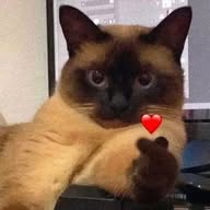 Sticker dünyası