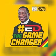 Zanu Pf Youth League Official