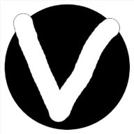 Visgion